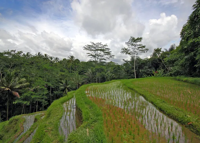 Villa Amrita Ubud (Bali)
